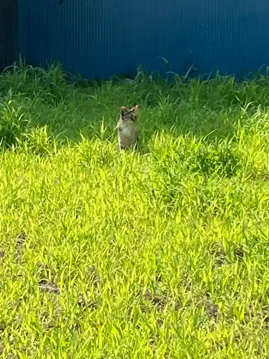 息栖神社(茨城県)