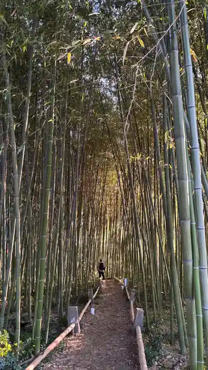 鹿王院(京都府)