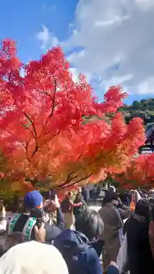 禅林寺(永観堂)(京都府)