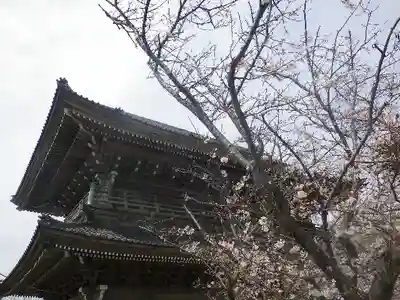 光明寺の山門・神門