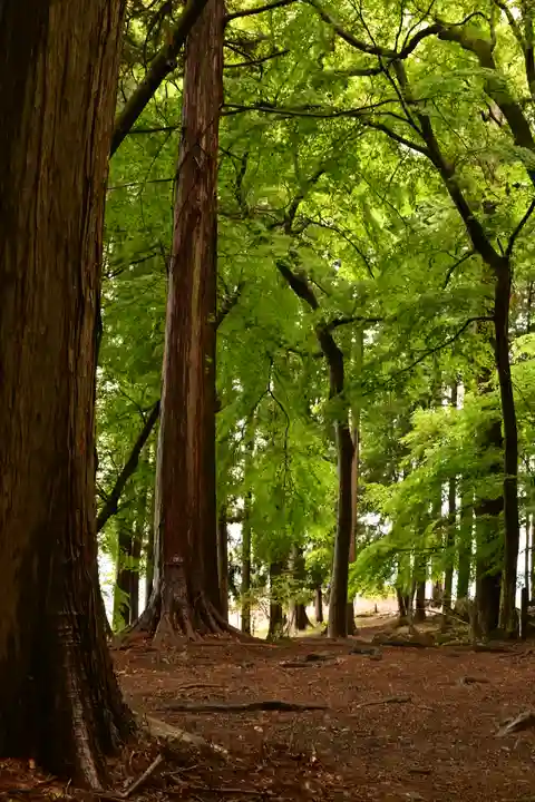 宝登山神社奥宮(埼玉県)