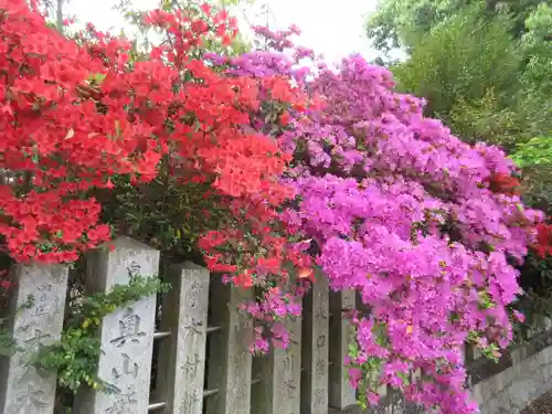 向日神社の自然