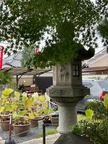 大蓮寺(京都府)