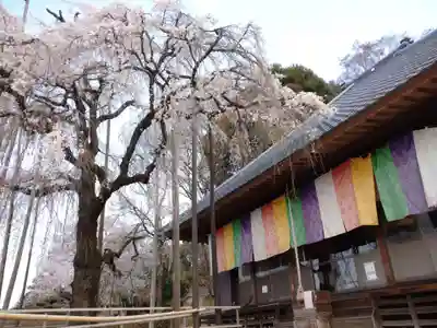 慈眼寺(埼玉県)