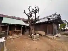 事代主神社(兵庫県)