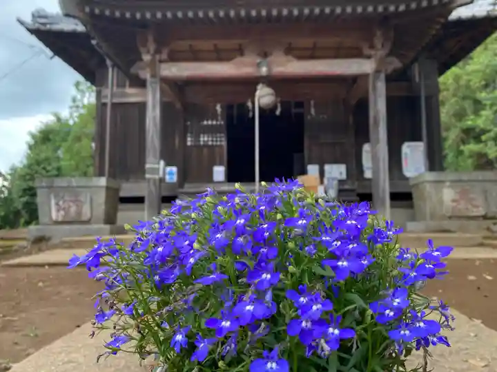 伏木香取神社の自然