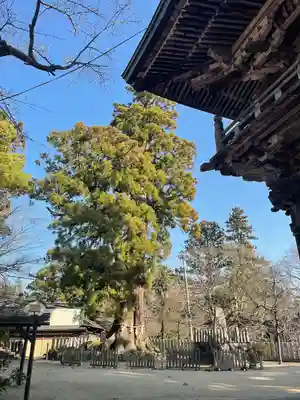 筑波山神社(茨城県)