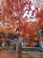 南湖神社の自然