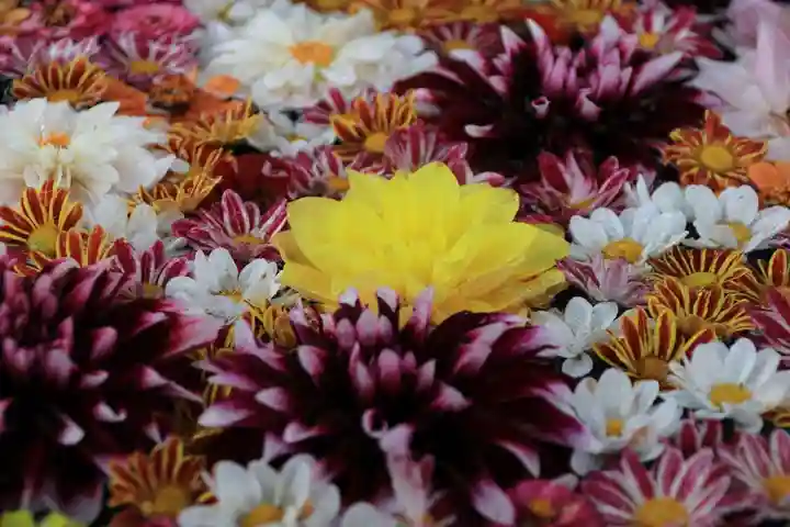 大鏑神社の手水舎