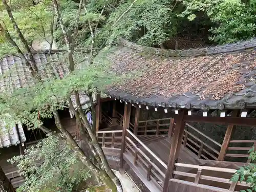 禅林寺（永観堂）(京都府)