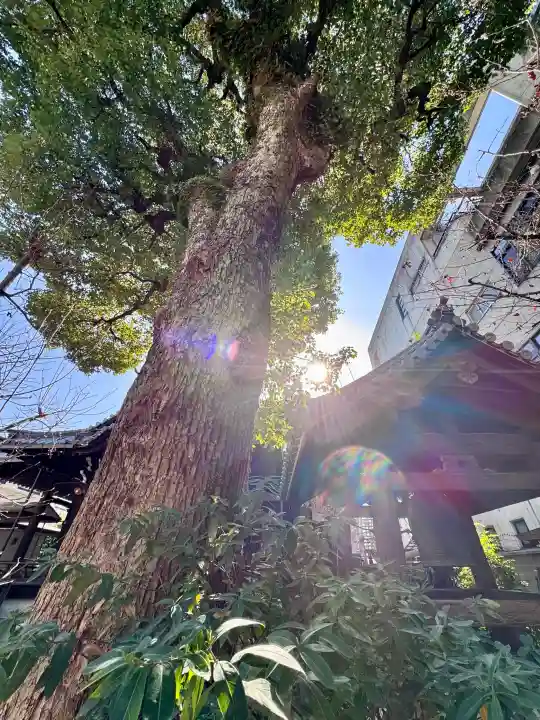 本教寺の{uncategorized: "未分類", other: "その他", undefined: "問題あり", building: "その他建物", grave: "お墓", sacred_gate: "鳥居", guardian: "狛犬", statue: "像", buddha: "仏像", history: "歴史", nature: "自然", garden: "庭園", animal: "動物", pagoda: "塔", temizu: "手水舎", mountain_gate: "山門・神門", sanctuary: "本殿・本堂", subordinate: "末社・摂社", art: "芸術", scenery: "景色", jizo: "地蔵", ema: "絵馬", goshuin: "御朱印", omikuji: "おみくじ", items: "授与品その他", amulet: "お守り", goshuincho: "御朱印帳", eats: "食事", festival: "お祭り", votive_dance: "神楽", shichigosan: "七五三参", wedding: "結婚式", experience: "体験その他", initially: "初詣", around: "周辺", anti_infection: "感染症対策"}