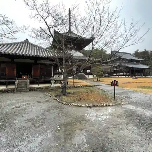 根来寺(和歌山県)
