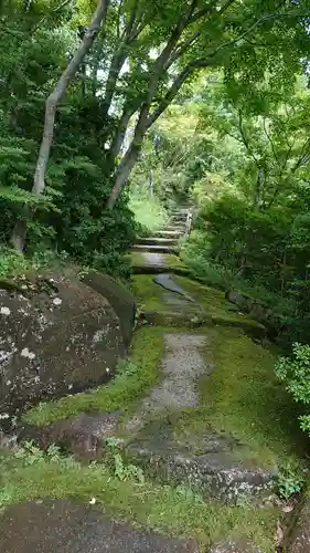 覚性律庵の自然