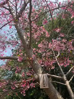 櫻木神社(千葉県)