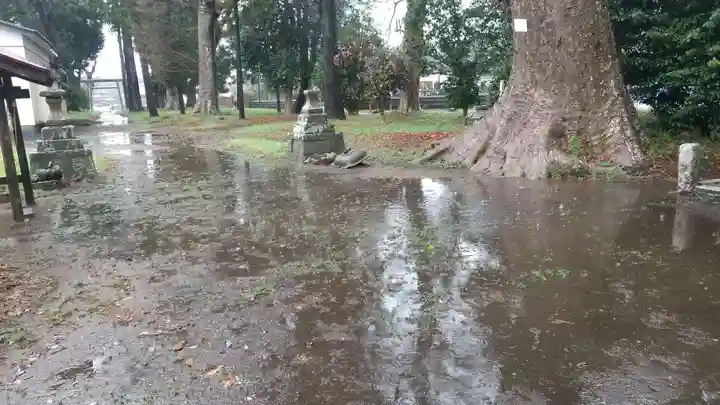 酒門神社(茨城県)