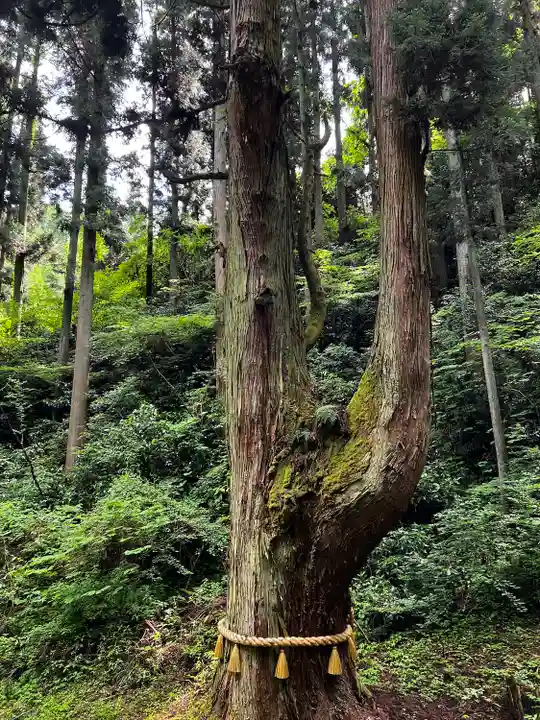 御岩神社(茨城県)