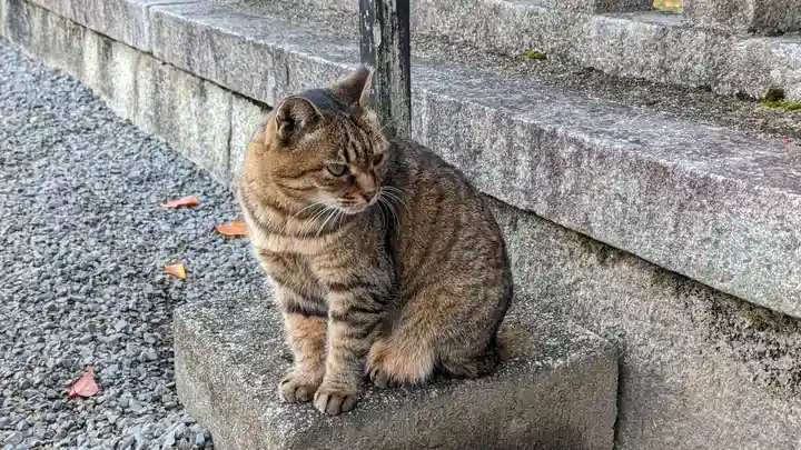 本満寺(本願満足寺)(京都府)