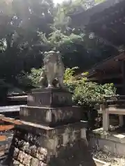 大宮八幡宮の狛犬