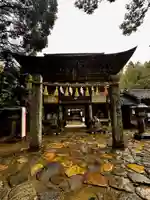 櫻井神社(福岡県)