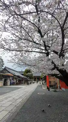 壬生寺(京都府)