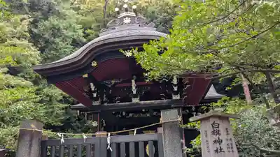 白旗神社の本殿・本堂