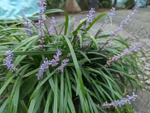 常光院(京都府)