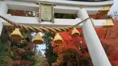 宝登山神社(埼玉県)