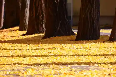 青柳神社の景色