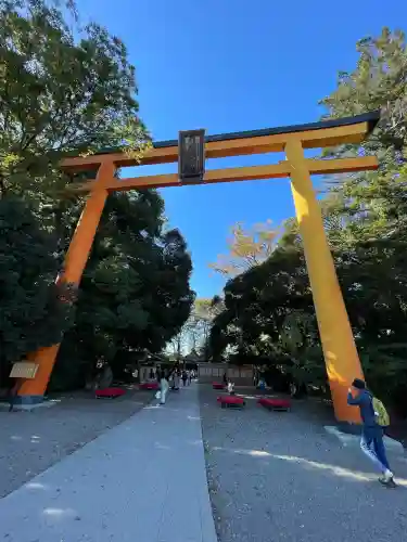 川越氷川神社(埼玉県)