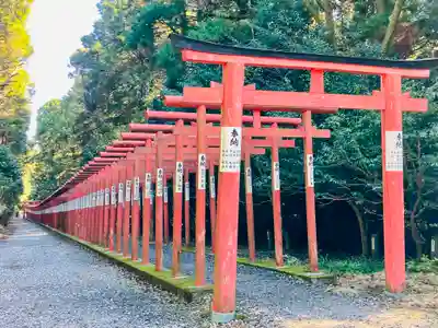美濃國一宮　南宮大社(岐阜県)
