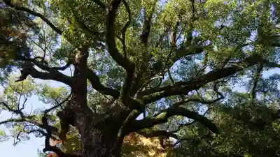 松森天満宮(長崎県)