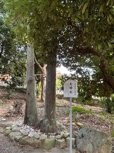 市杵島姫神社(兵庫県)