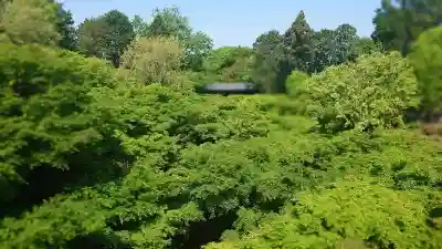 東福禅寺(東福寺)(京都府)