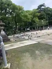 甚目寺の動物