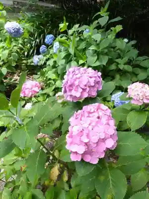 大津山阿蘇神社(熊本県)