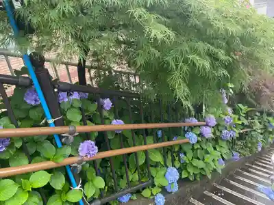 白山神社(東京都)