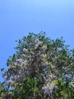 鹿島神宮(茨城県)