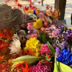 滑川神社 - 仕事と子どもの守り神の手水