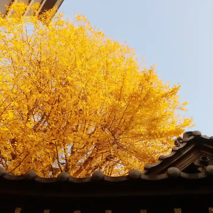 稼穡稲荷社の自然