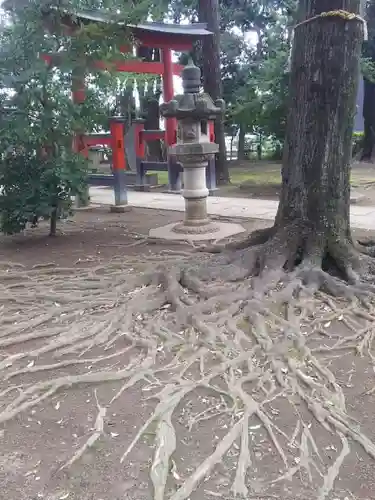 加茂神社の自然