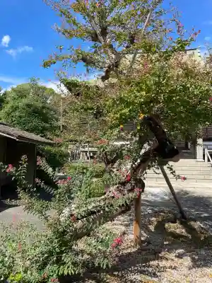 良泉寺(神奈川県)
