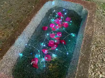 釧路一之宮 厳島神社の手水舎