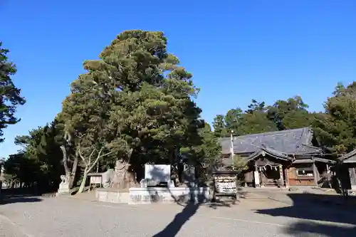 鶴谷八幡宮(千葉県)