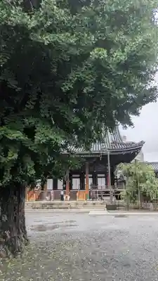 佛光寺(京都府)