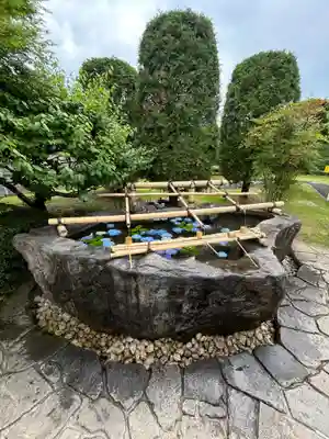 東本願寺本廟 牛久浄苑(牛久大仏)(茨城県)