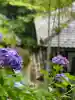 長谷寺(神奈川県)
