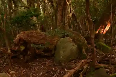 大元神社（宇佐神宮奥宮）(大分県)