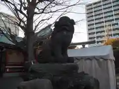 河原町稲荷神社の狛犬