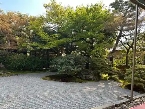 圓徳院(京都府)