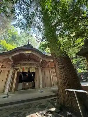 槵觸神社(宮崎県)